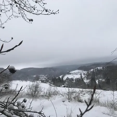 Gluehalm Hébergement de vacances Willingen (Upland)