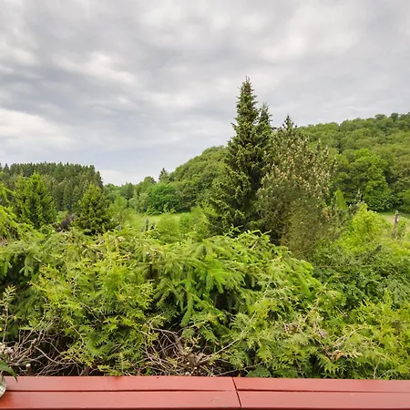 Holiday home Gluehalm Willingen (Upland)