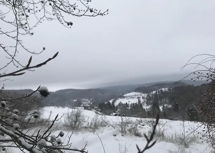 Gluehalm Hébergement de vacances Willingen (Upland)