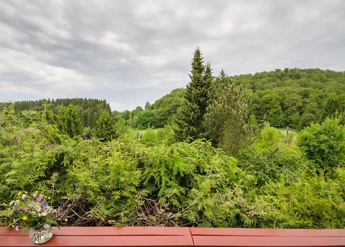 Hébergement de vacances Gluehalm Willingen (Upland)